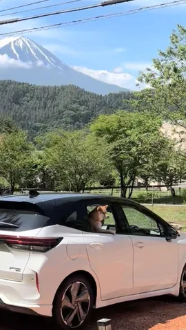 富士山と助手席の仲間