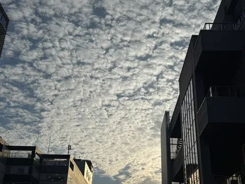 空を彩る雲と都会のコントラスト