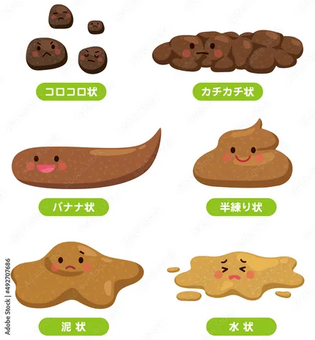 表情豊かなうんちの形