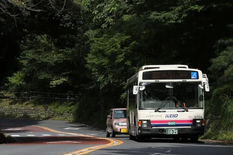 緑深まる山道、バスと軽自動車