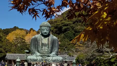 大仏