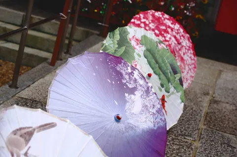雨音を彩る、和傘の華やぎ