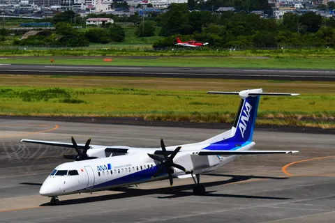 ANA機と緑の空気感