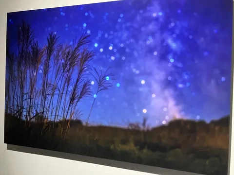 星空とススキの幻想的な夜