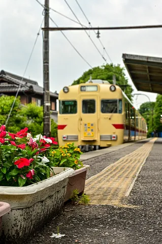 駅と花と黄色の電車