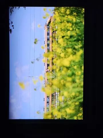 春を駆け抜ける列車