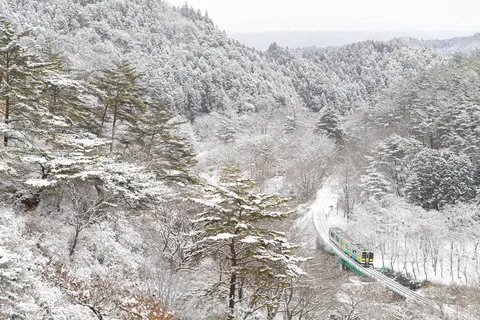 雪深い渓谷を行く列車