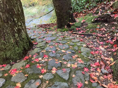 秋色に染まる石畳の小径