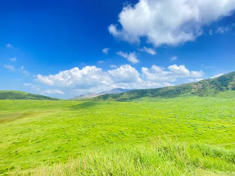 蒼天広がる緑の大地