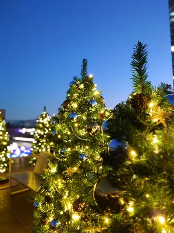 煌くクリスマスの森