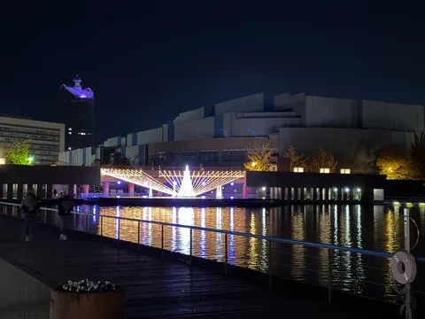 夜景に映える光のツリー