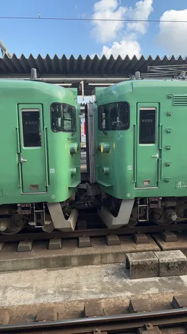 向かい合う緑の車両たち
