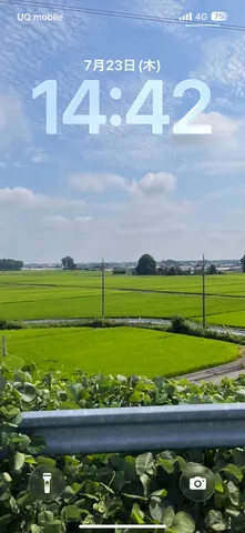 昼下がりの田園風景