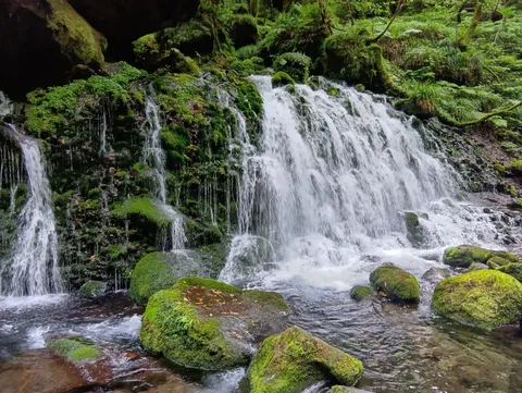 苔むす緑の滝、涼やかな渓流