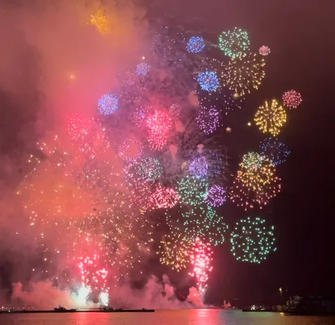 夜空を彩る光の華