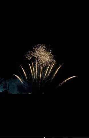 夜空に咲く、黄金の花火