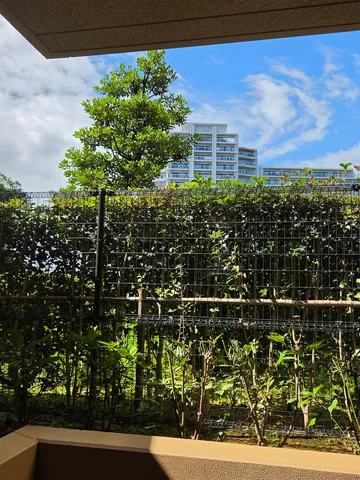 緑と建物のコントラスト、青空に映える