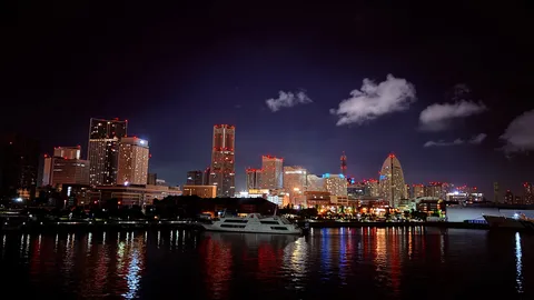 水面にきらめく夜の都市