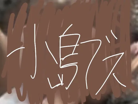 線で描かれた未解読のメッセージ