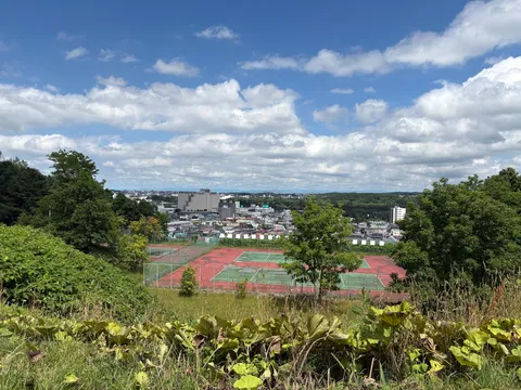 丘の上で広がる 赤と緑の景色