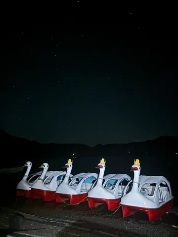 星降る夜の白鳥ボートたち