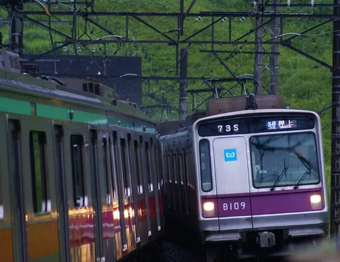 緑と紫、都会を駆ける電車の対比