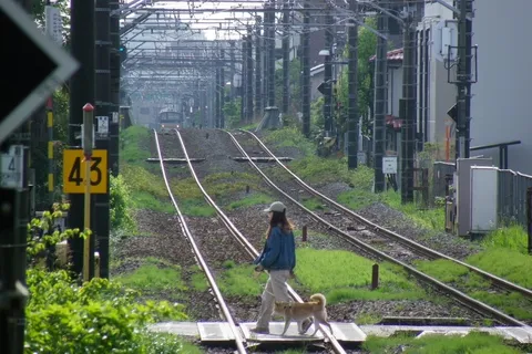 線路を渡る、犬との散歩