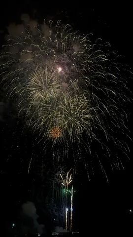 夜空に咲く、金色の華