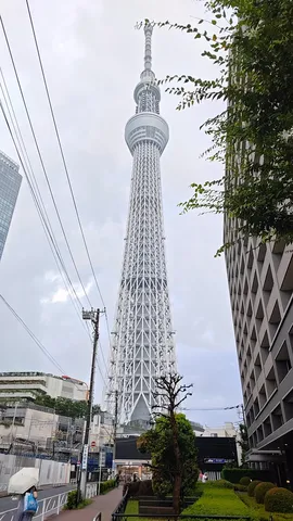 雨空と東京スカイツリー