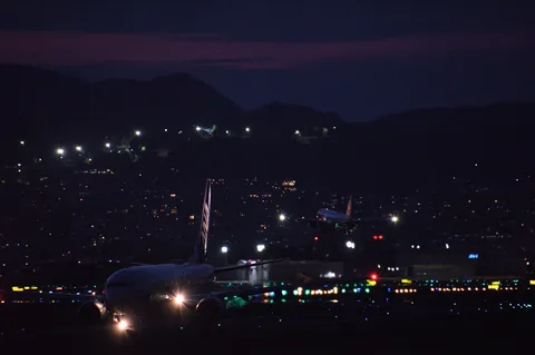 滑走路に現る夜の主役たち