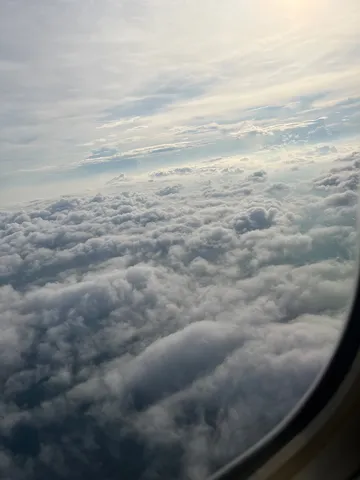 雲海の上のお昼寝タイム