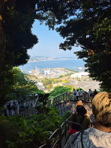 樹々が額縁、港を見下ろす絶景