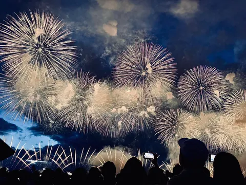 夜空を焦がす無数の輝き