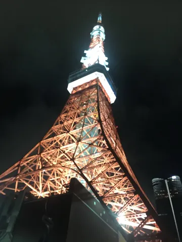 煌めくタワーと夜空のコントラスト