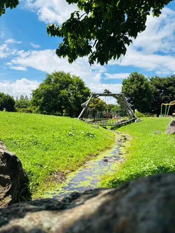 涼やかな渓流と緑の公園