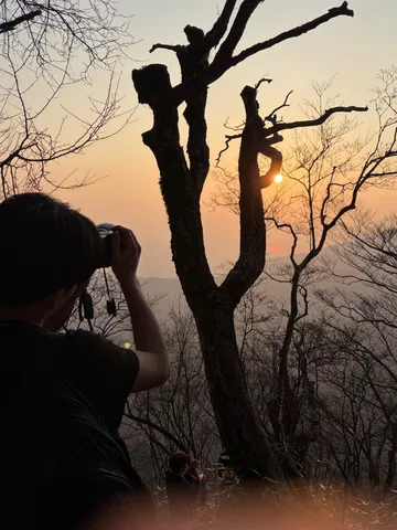 夕日を捉える、木漏れ日の瞬間