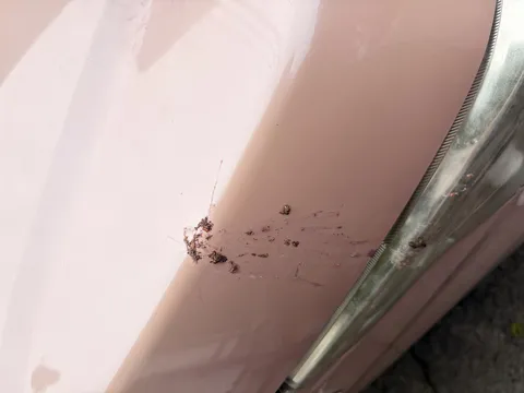 ピンクの車体に鮮やかな汚れ