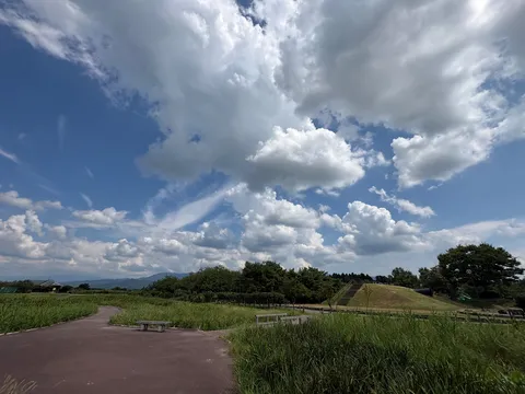 夏の空と緑のコントラスト