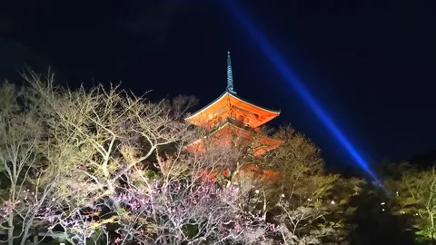 夜空を照らす光と古都の塔