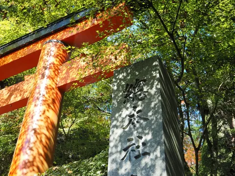 鳥居と木陰の光影