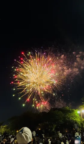夜空に咲く光の花束