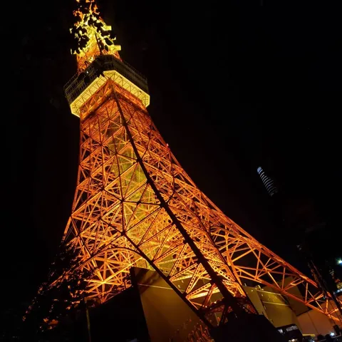 夜空にそびえる光の骨格