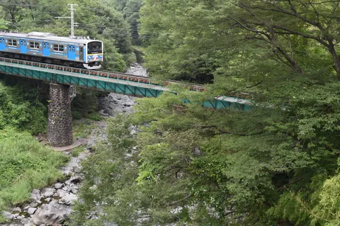 緑深き谷を渡る青い列車