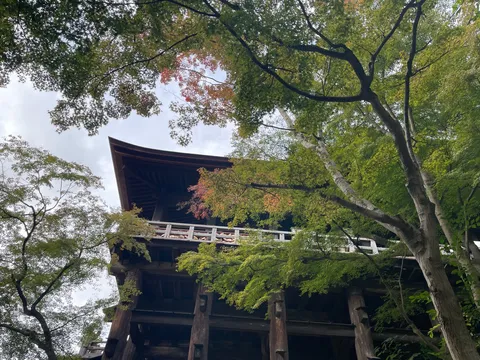 古刹の木漏れ日、移ろう季節