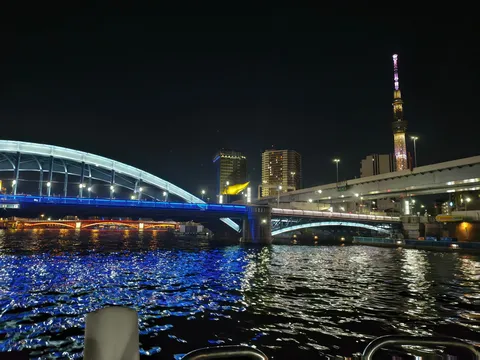 煌めく橋とタワーの夜
