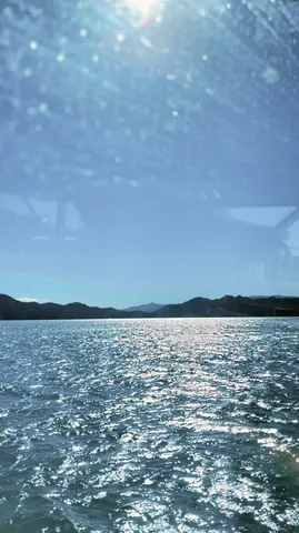 光輝く水辺の景色