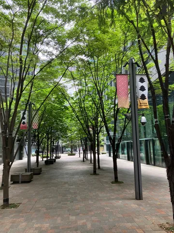 緑陰の小道、静寂の都