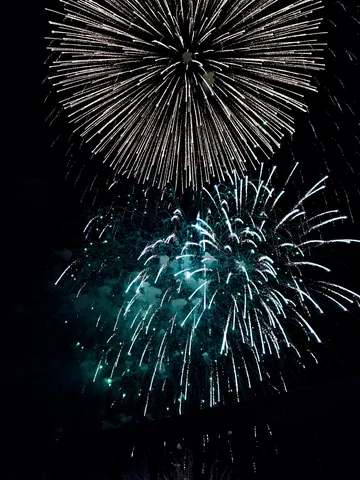 夜空に咲く、光の華