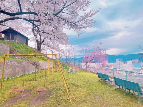 桜に包まれた丘の遊び場