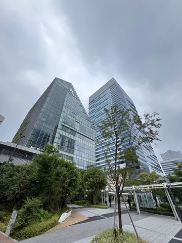 都市の緑と空のコントラスト